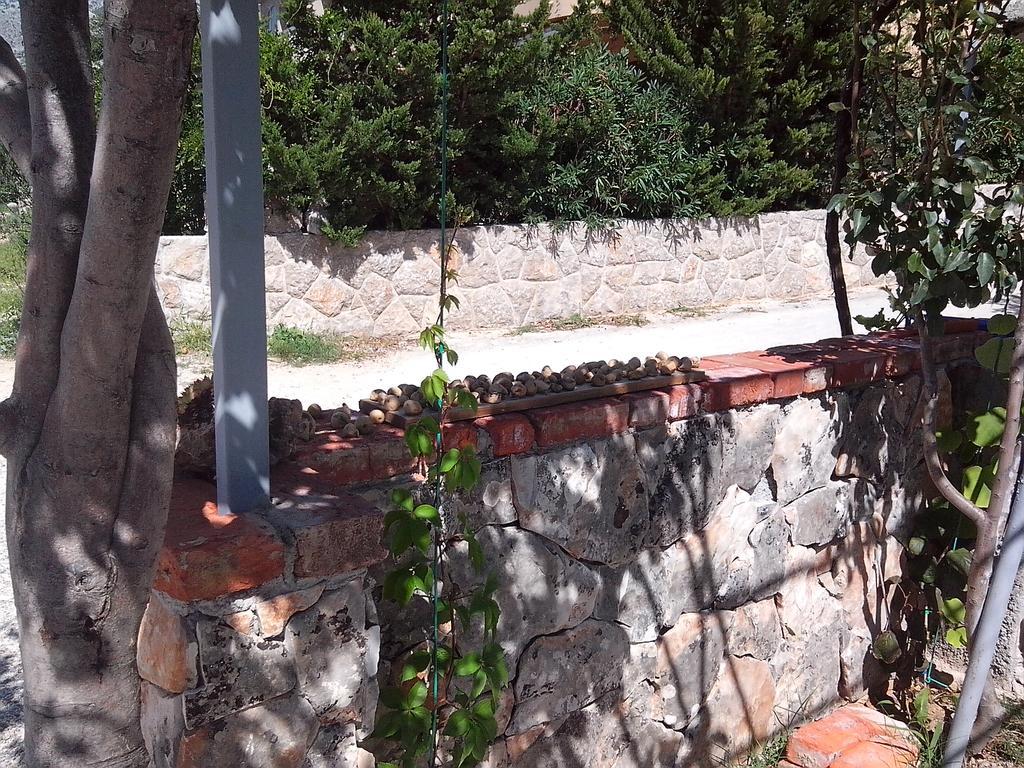 Lucija